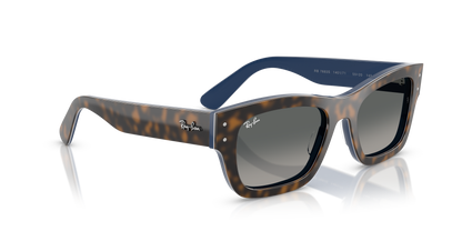 RAY-BAN RB7683S JOSEPH 140171 55