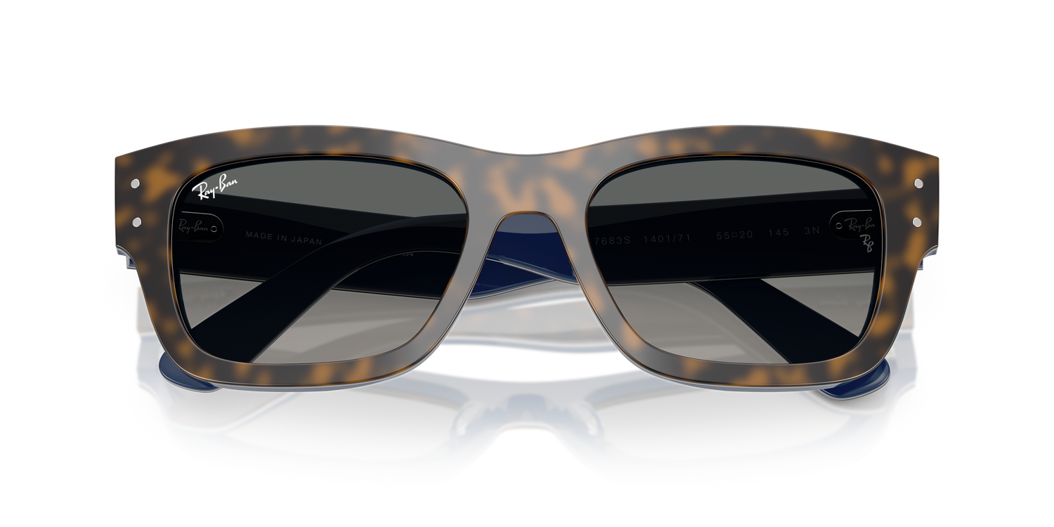 RAY-BAN RB7683S JOSEPH 140171 55