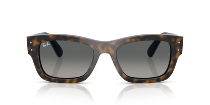 RAY-BAN RB7683S JOSEPH 140171 55