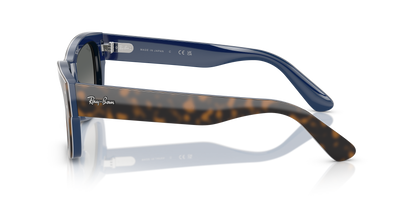 RAY-BAN RB7683S JOSEPH 140171 55