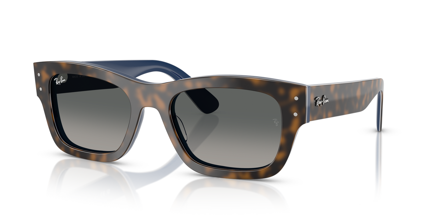 RAY-BAN RB7683S JOSEPH 140171 55