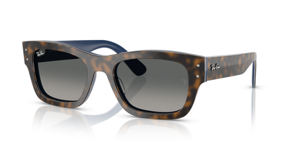 RAY-BAN RB7683S JOSEPH 140171 55