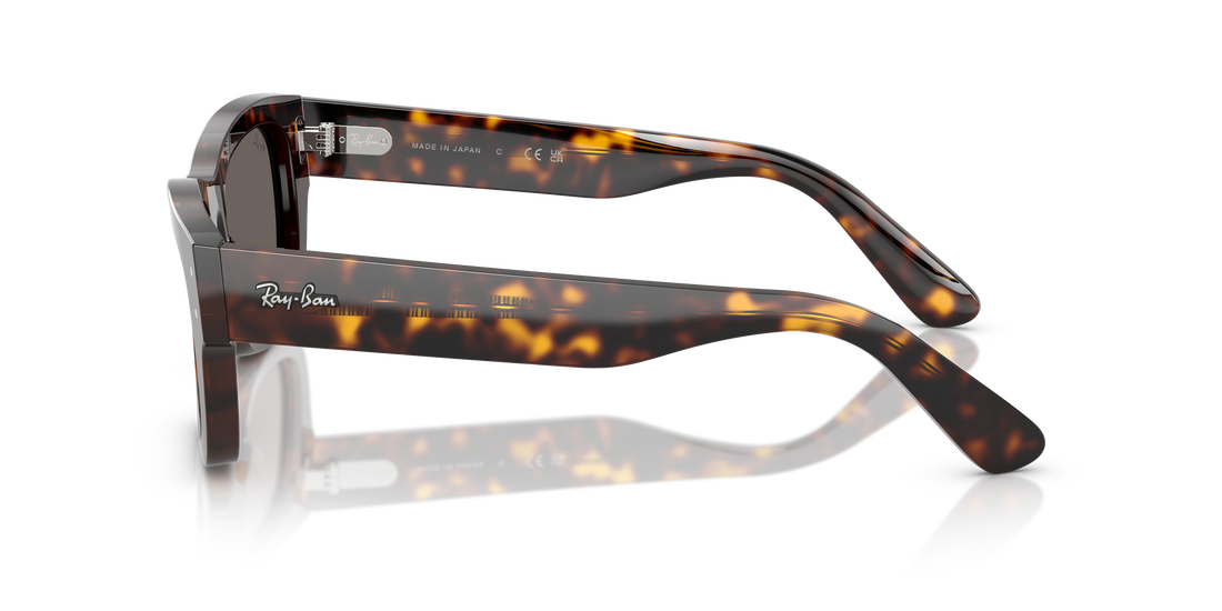 RAY-BAN RB7683S JOSEPH 902/B1 55