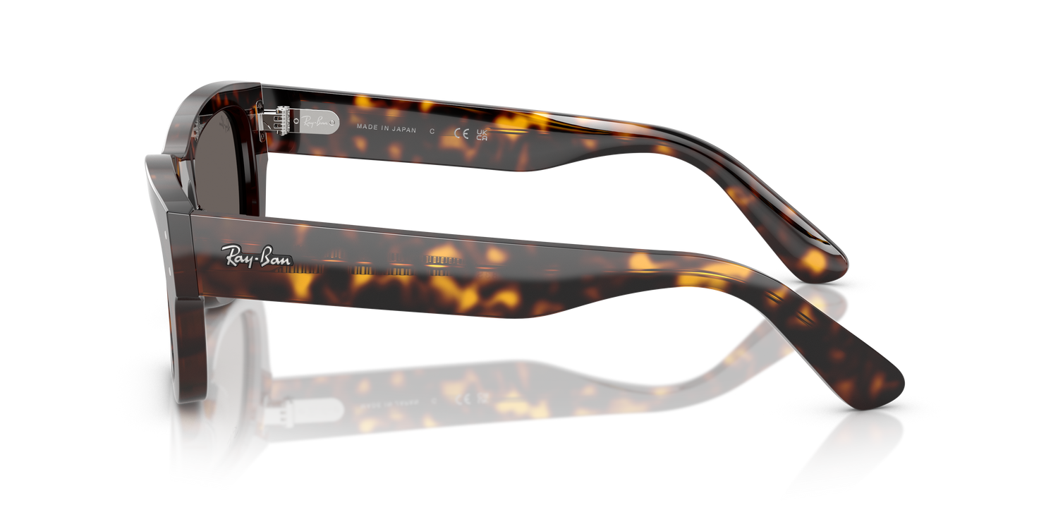 RAY-BAN RB7683S JOSEPH 902/B1 55