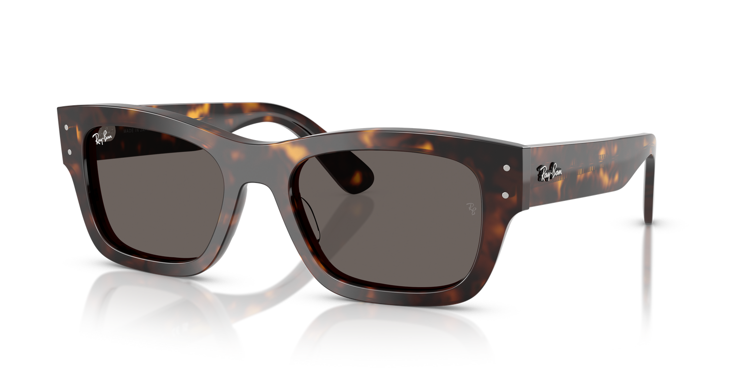 RAY-BAN RB7683S JOSEPH 902/B1 55