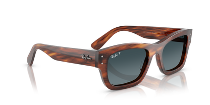 RAY-BAN RB7683S JOSEPH 954/S3 55