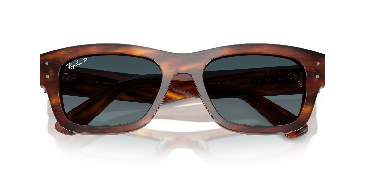 RAY-BAN RB7683S JOSEPH 954/S3 55