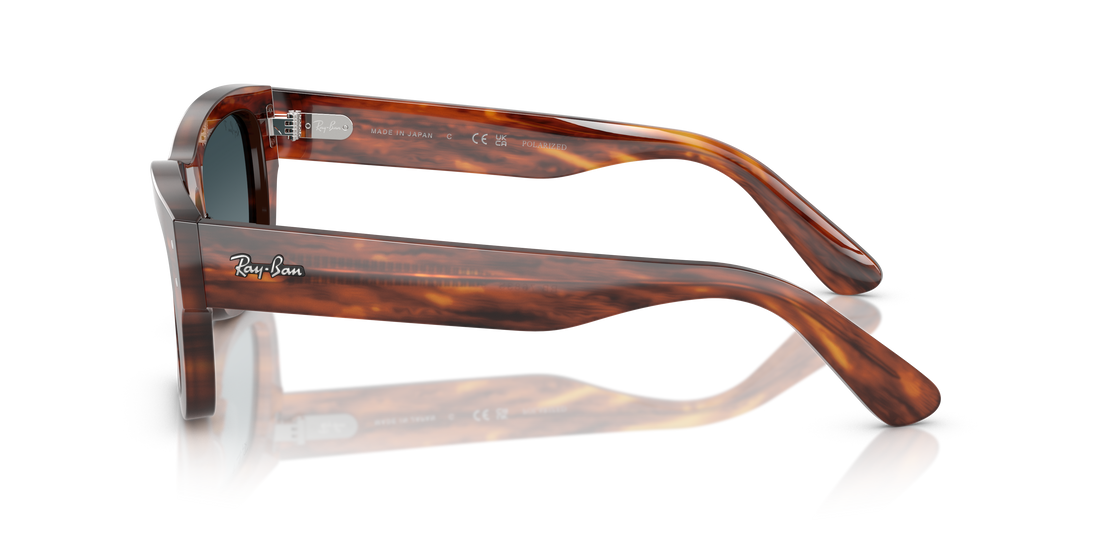 RAY-BAN RB7683S JOSEPH 954/S3 55