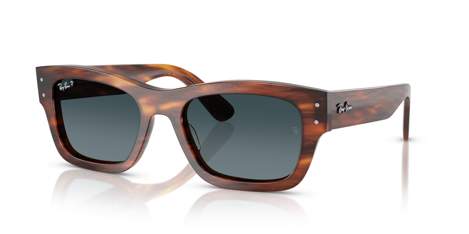 RAY-BAN RB7683S JOSEPH 954/S3 55