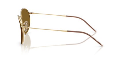 RAY-BAN RBR0103S ROUND REVERSE 001/83 53