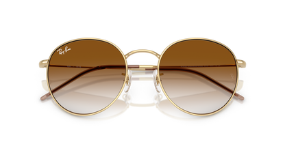 RAY-BAN RBR0103S ROUND REVERSE 001/CB 55