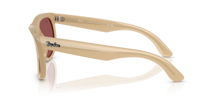 RAY-BAN RBR0502S WAYFARER REVERSE 678069 50