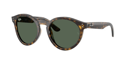 RAY-BAN RBR0505S 6790VR 52