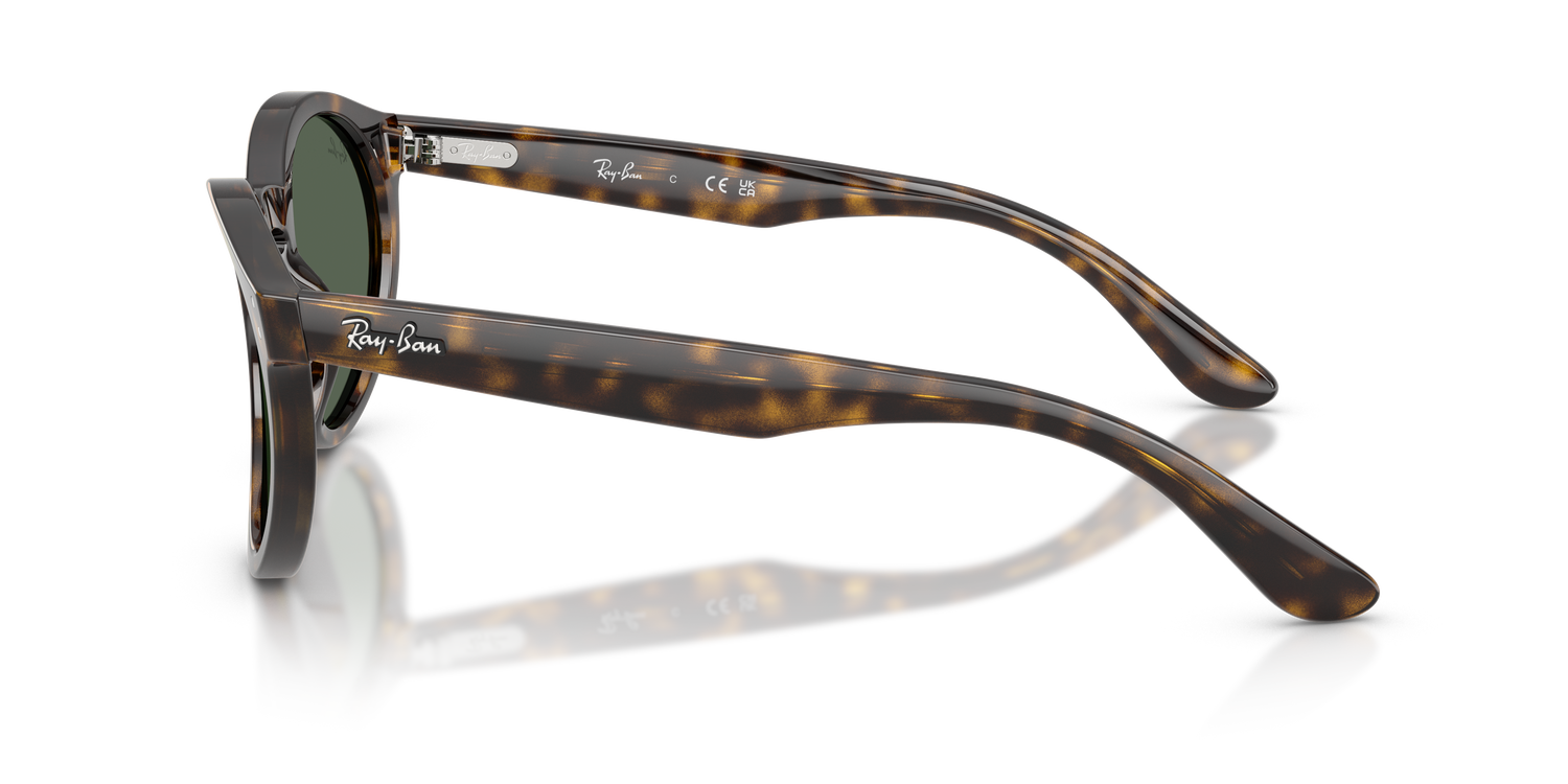 RAY-BAN RBR0505S 6790VR 52
