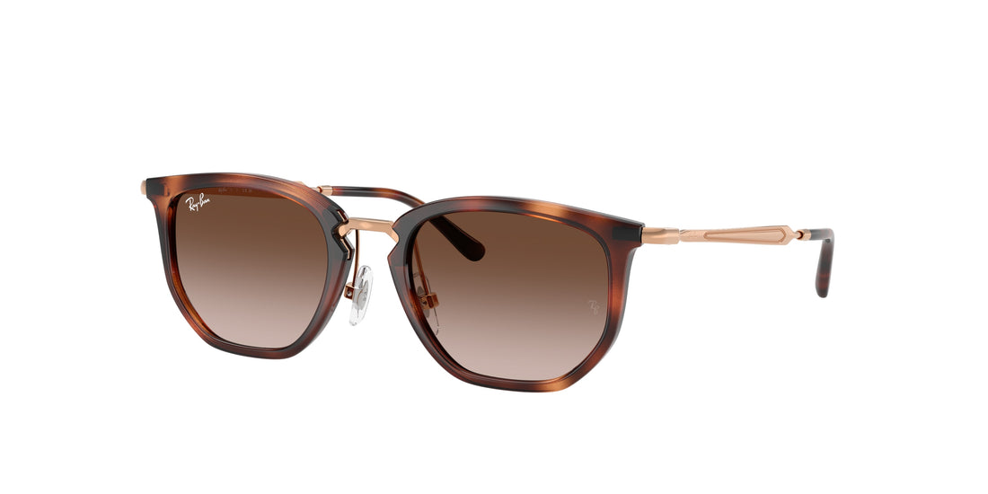 Gafas de sol ray-ban junior rj9085s 721913 marron irregular infantil talla 46mm - Vista principal