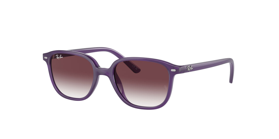 RAY-BAN JUNIOR RJ9093S JUNIOR LEONARD 713136 45