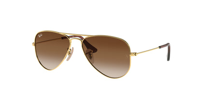 RAY-BAN JUNIOR RJ9506S JUNIOR AVIATOR 223/13 50