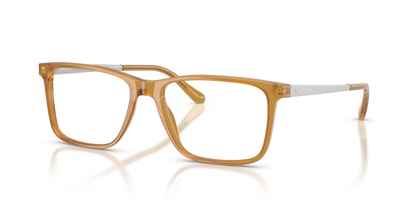 RALPH LAUREN RL6133 5275 56