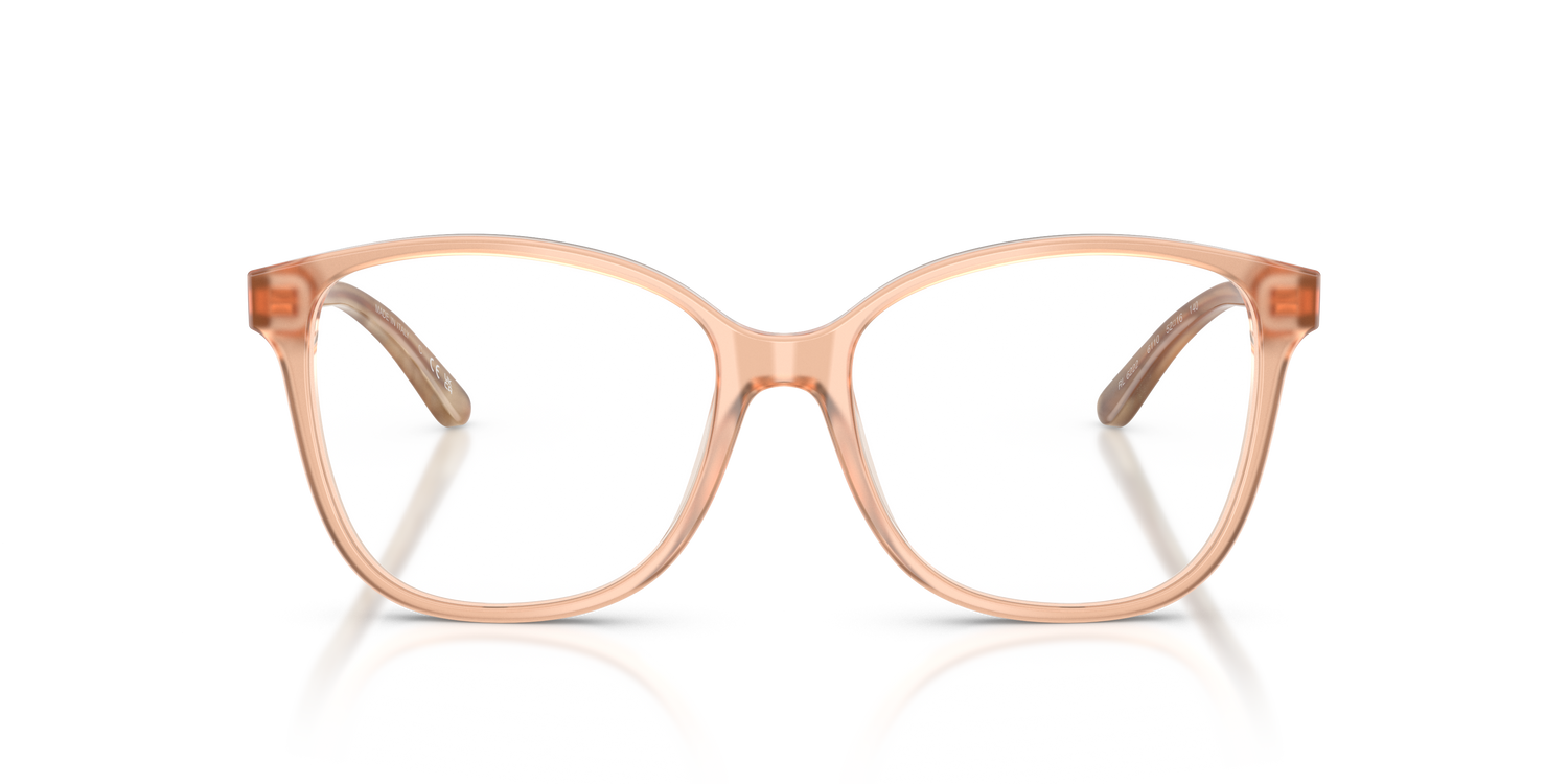 RALPH LAUREN RL6222 6110 54