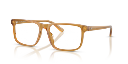 RALPH LAUREN RL6225U 5275 56