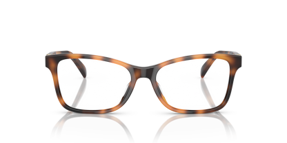 RALPH LAUREN RL6233U 5303 54