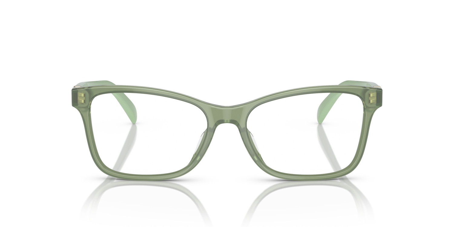 RALPH LAUREN RL6233U 6049 54