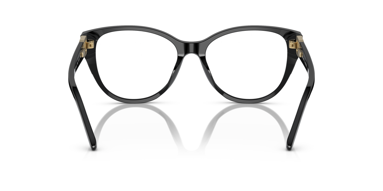 RALPH LAUREN RL6234BU 5001 53