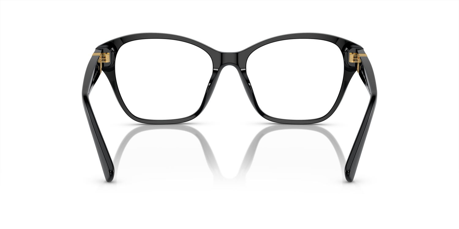 RALPH LAUREN RL6236U 5001 53