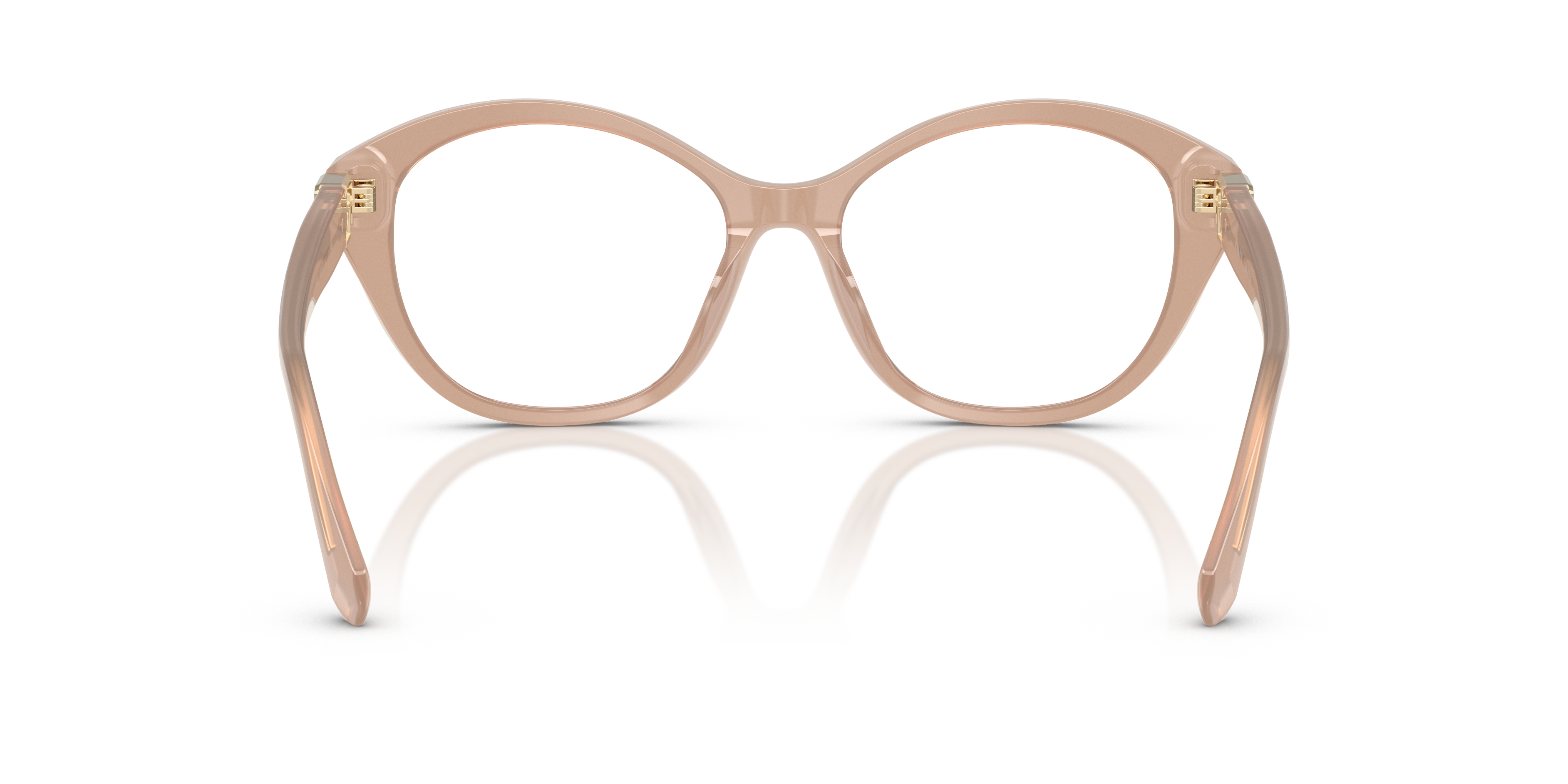 RALPH LAUREN RL6246U 6217 53