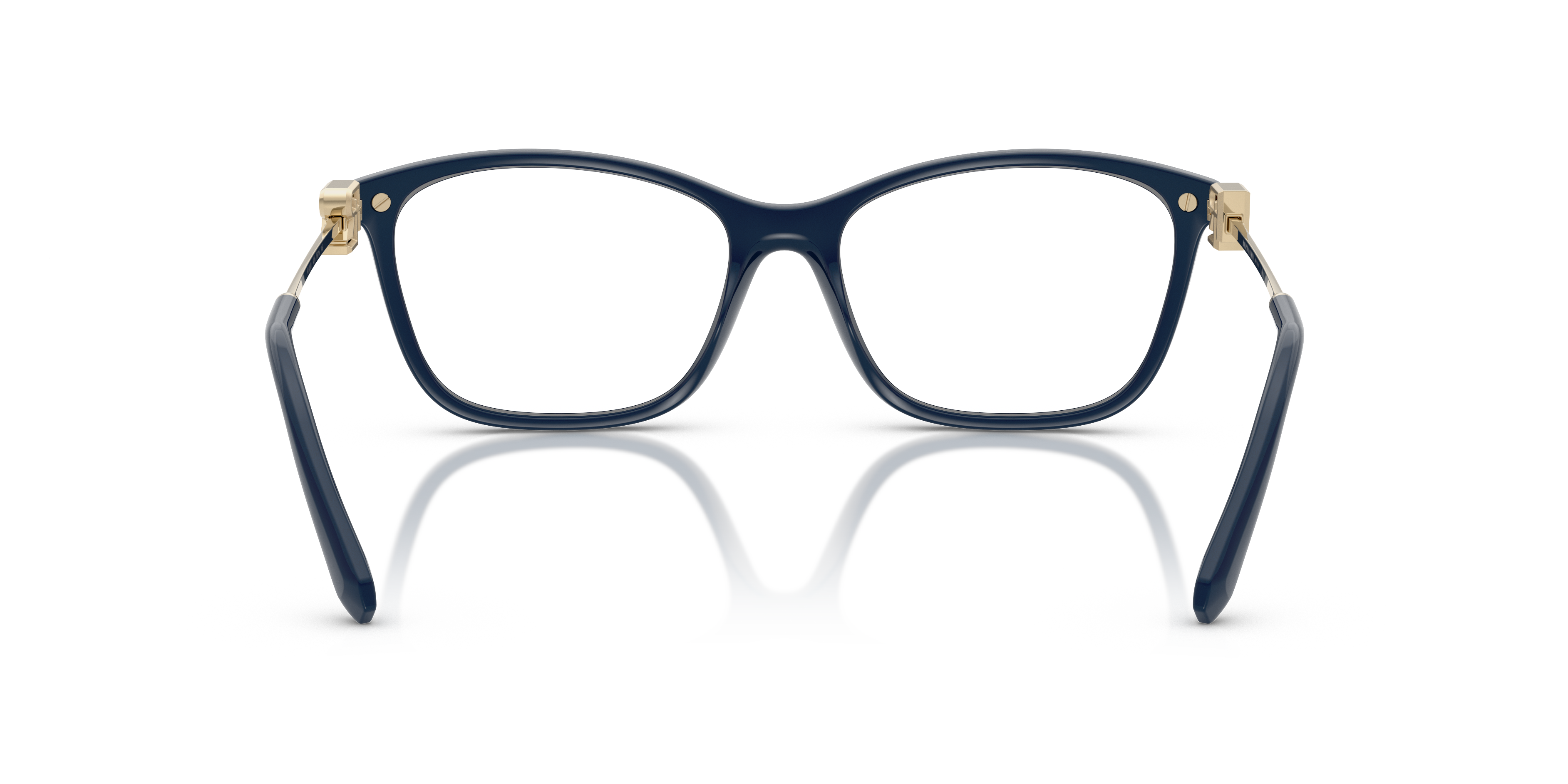 RALPH LAUREN RL6247U 6215 55