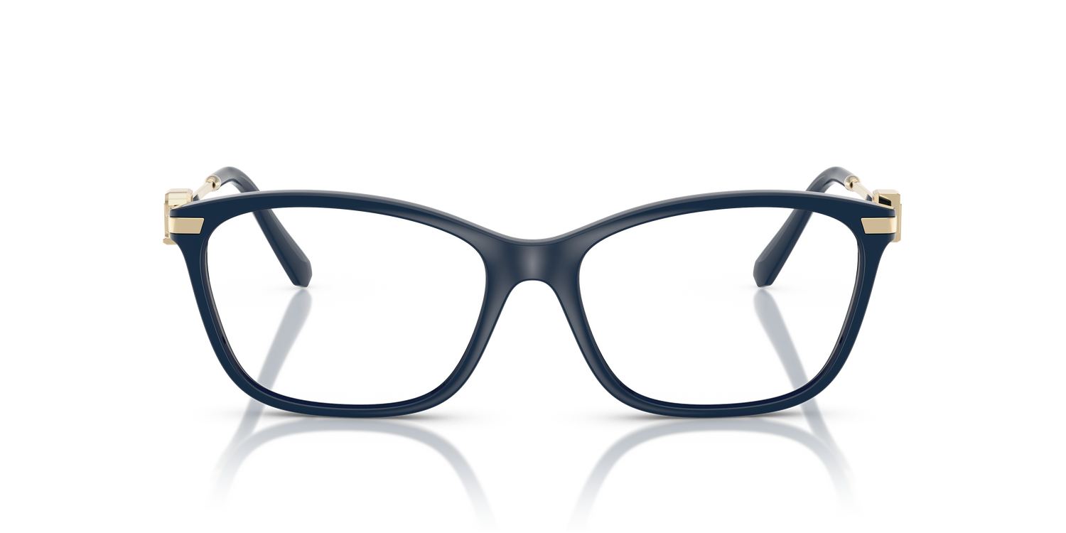 RALPH LAUREN RL6247U 6215 55