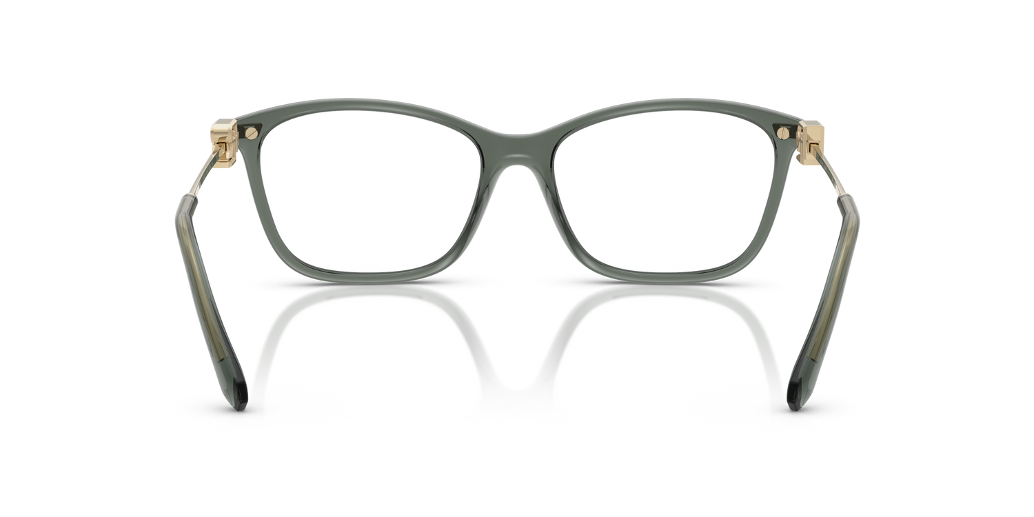 RALPH LAUREN RL6247U 6216 53