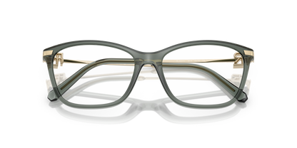 RALPH LAUREN RL6247U 6216 55