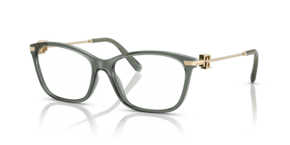 RALPH LAUREN RL6247U 6216 53