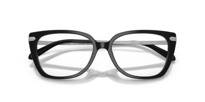 RALPH LAUREN RL6250U 5001 53