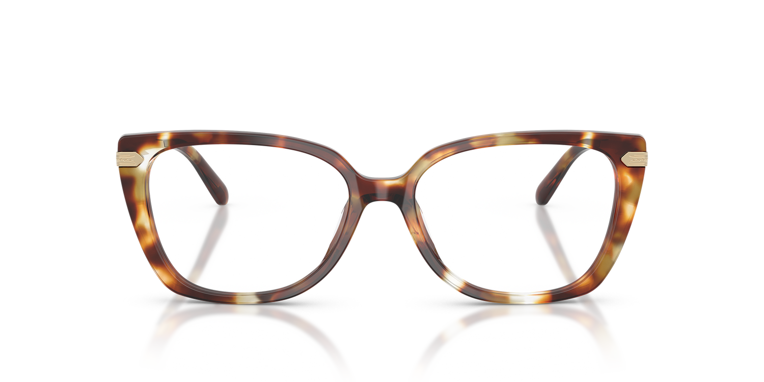 RALPH LAUREN RL6250U 6056 53