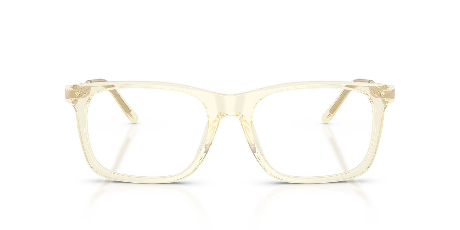 RALPH LAUREN RL6253U 5034 53