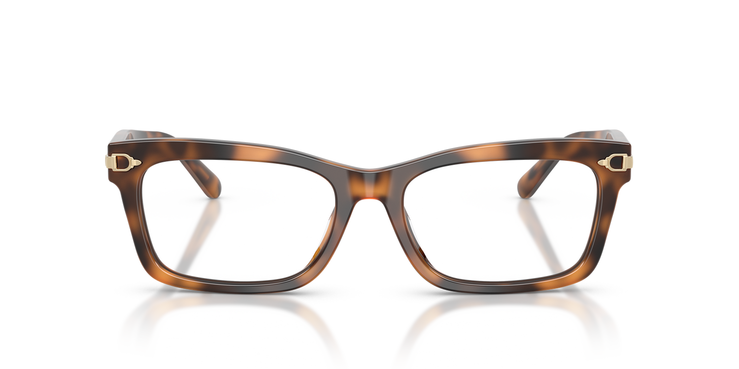 RALPH LAUREN RL6255U 6089 53