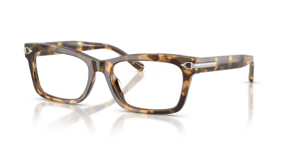 RALPH LAUREN RL6255U 6178 53