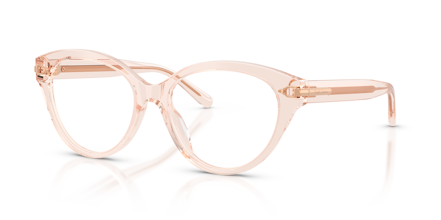 RALPH LAUREN RL6256U 6305 53