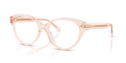 RALPH LAUREN RL6256U 6305 55