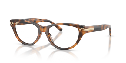 RALPH LAUREN RL6257U 6089 52