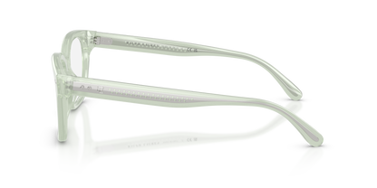 RALPH LAUREN RL6258U 6308 54