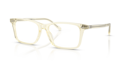 RALPH LAUREN RL6264U 5034 56