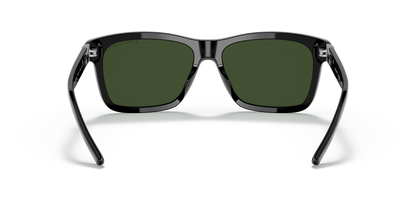 RALPH LAUREN RL8203QU 500171 57