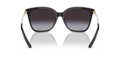 RALPH LAUREN RL8209 50018G 57