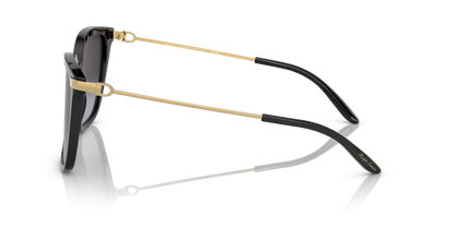 RALPH LAUREN RL8209 50018G 57