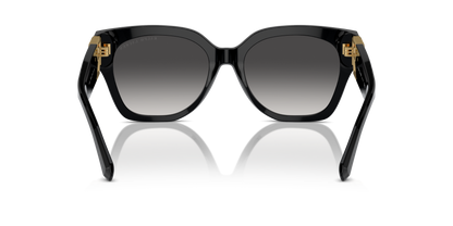 RALPH LAUREN RL8221 THE OVERSZED RICKY 50018G 55