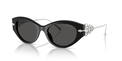 RALPH LAUREN RL8227U 500187 52