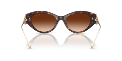 RALPH LAUREN RL8227U 500374 52